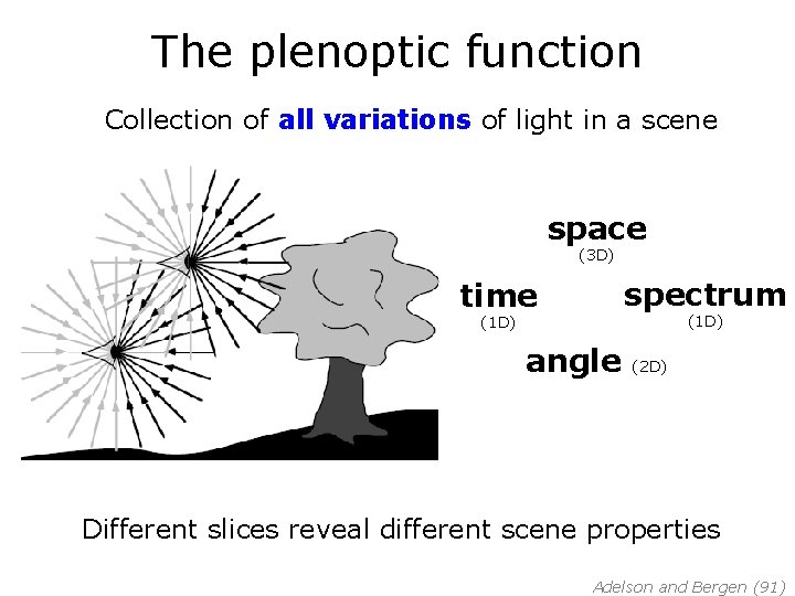 The plenoptic function Collection of all variations of light in a scene space (3