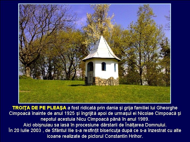 TROIŢA DE PE PLEAŞA a fost ridicată prin dania şi grija familiei lui Gheorghe TROIŢA DE PE PLEAŞA a fost ridicată prin dania şi grija familiei lui Gheorghe