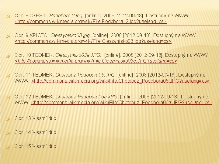  Obr. 8 CZESIL. Podobora 2. jpg. [online]. 2006 [2012 -09 -18]. Dostupný na