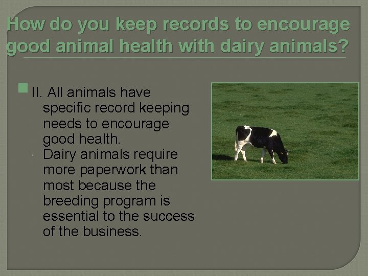 How do you keep records to encourage good animal health with dairy animals? II.