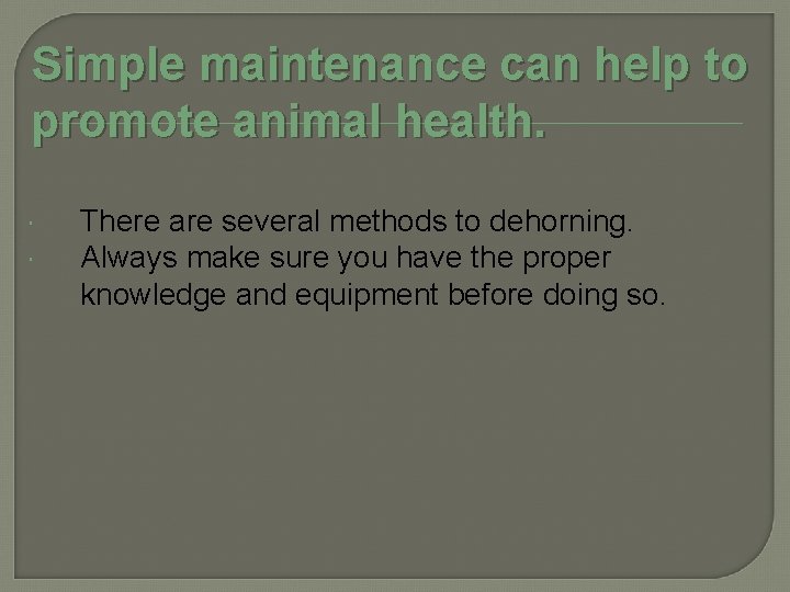 Simple maintenance can help to promote animal health. There are several methods to dehorning.
