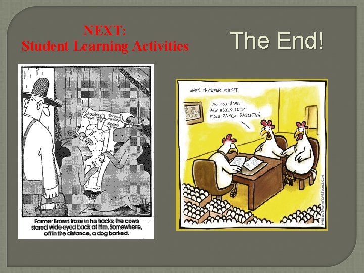 NEXT: Student Learning Activities The End! 