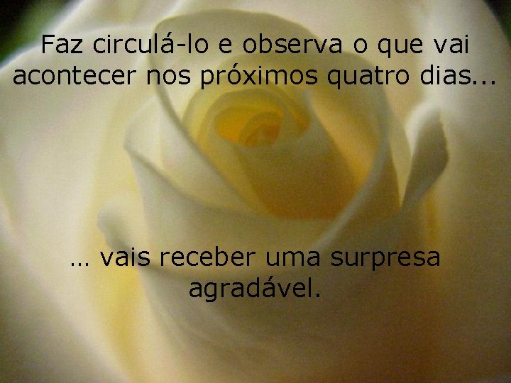 Faz circulá-lo e observa o que vai acontecer nos próximos quatro dias. . .