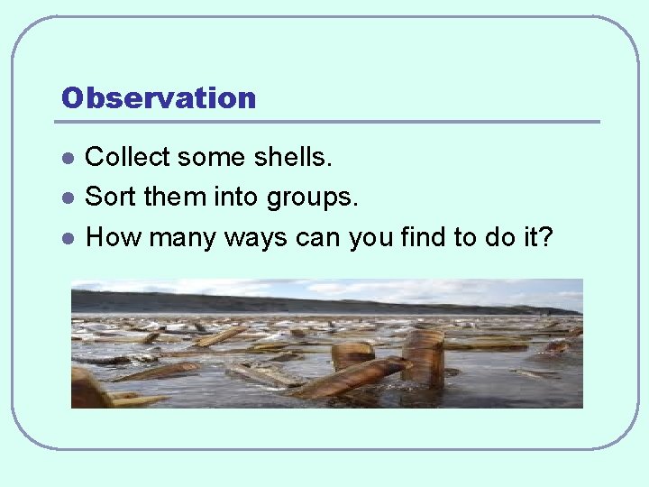 Observation l l l Collect some shells. Sort them into groups. How many ways
