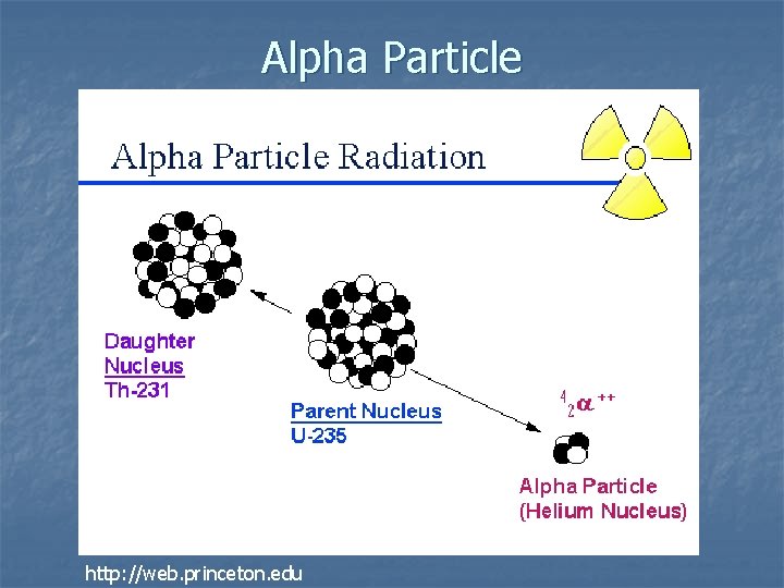 Alpha Particle http: //web. princeton. edu 