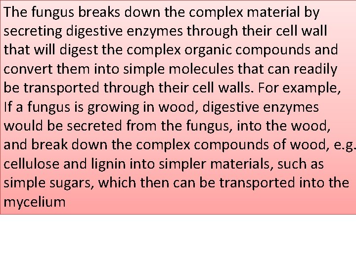 The fungus breaks down the complex material by secreting digestive enzymes through their cell