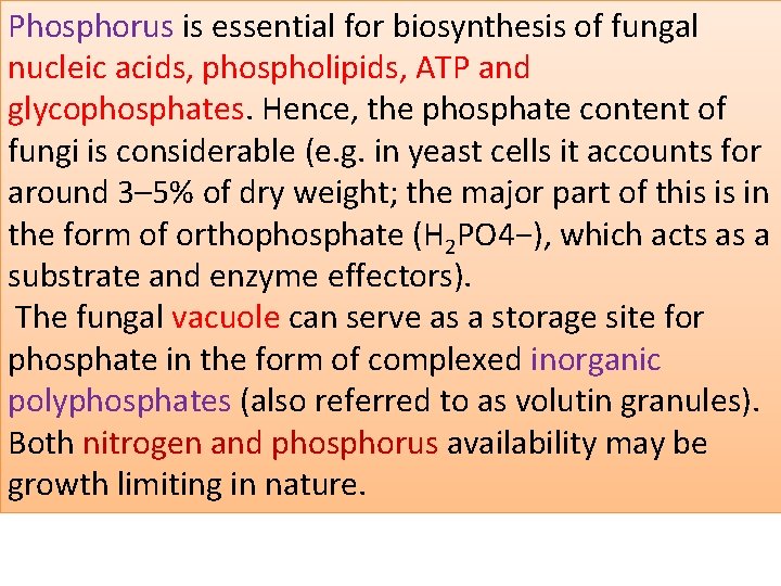 Phosphorus is essential for biosynthesis of fungal nucleic acids, phospholipids, ATP and glycophosphates. Hence,