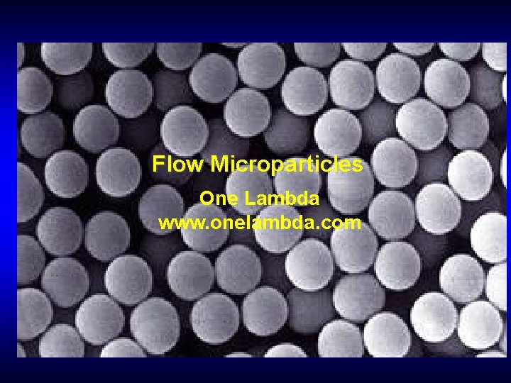 Flow Microparticles One Lambda www. onelambda. com 