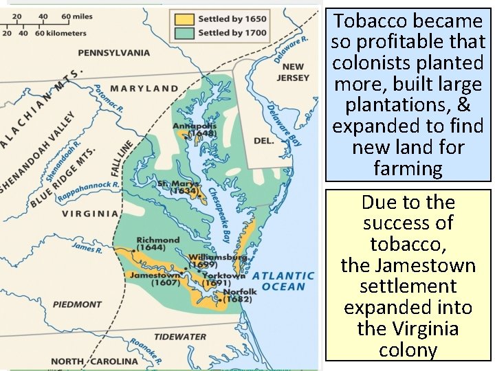 Tobacco became so profitable that colonists planted more, built large plantations, & expanded to