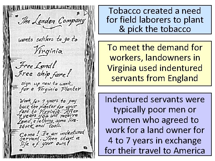 Tobacco created a need for field laborers to plant & pick the tobacco To