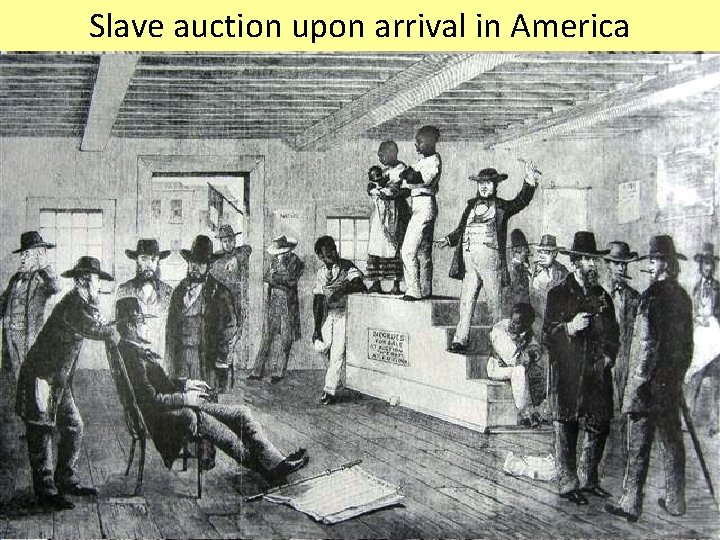 African The Slave “Coffin” Captives auction. Position upon Beingarrival Thrown Used Below in Overboard