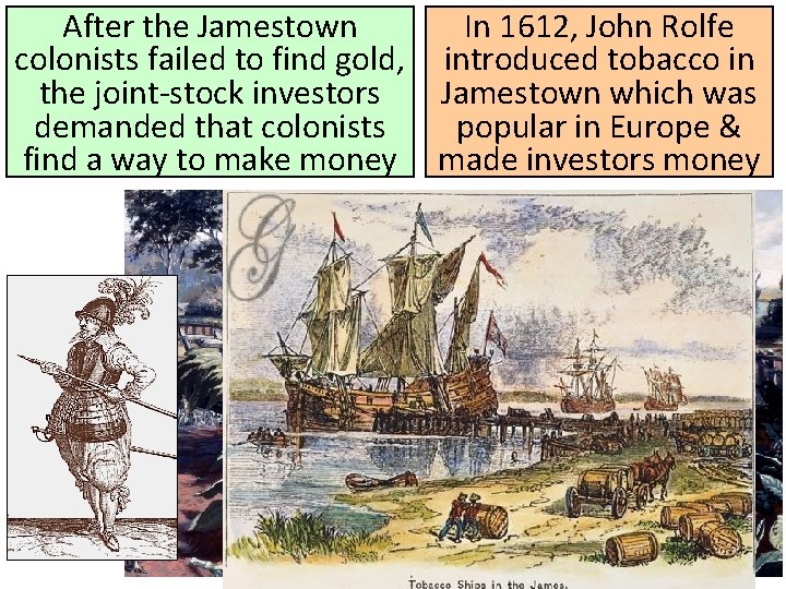 After the Jamestown In 1612, John Rolfe colonists failed to find gold, introduced tobacco