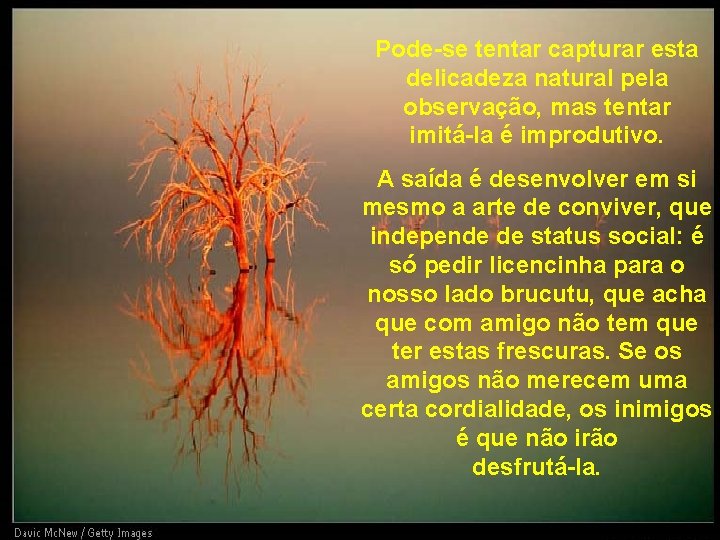 Pode-se tentar capturar esta delicadeza natural pela observação, mas tentar imitá-la é improdutivo. A Pode-se tentar capturar esta delicadeza natural pela observação, mas tentar imitá-la é improdutivo. A