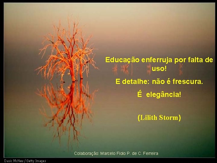 Educação enferruja por falta de uso! E detalhe: não é frescura. É elegância! (Lilith Educação enferruja por falta de uso! E detalhe: não é frescura. É elegância! (Lilith