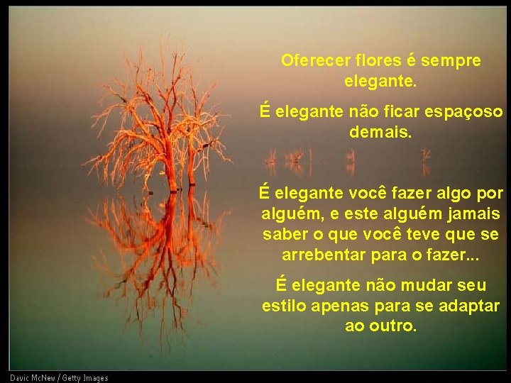 Oferecer flores é sempre elegante. É elegante não ficar espaçoso demais. É elegante você Oferecer flores é sempre elegante. É elegante não ficar espaçoso demais. É elegante você