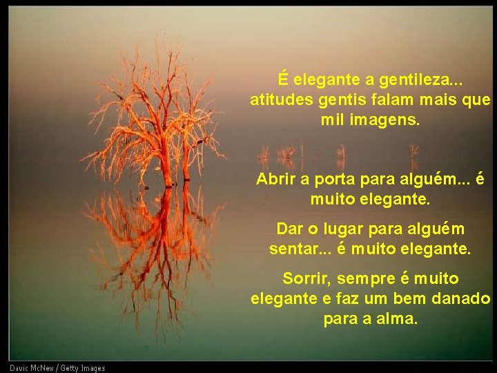 É elegante a gentileza. . . atitudes gentis falam mais que mil imagens. Abrir É elegante a gentileza. . . atitudes gentis falam mais que mil imagens. Abrir