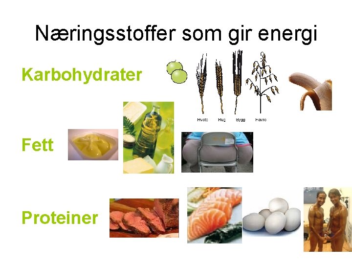 Næringsstoffer som gir energi Karbohydrater Fett Proteiner 