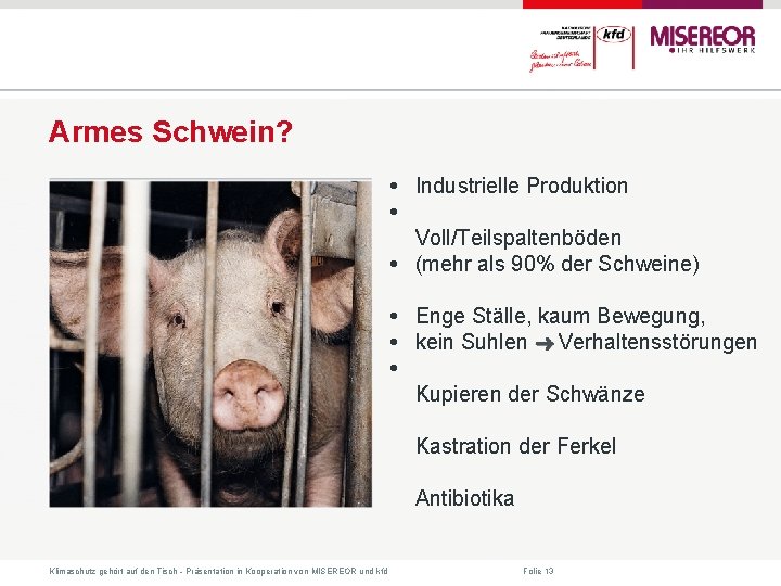 Armes Schwein? • Industrielle Produktion • Voll/Teilspaltenböden • (mehr als 90% der Schweine) •