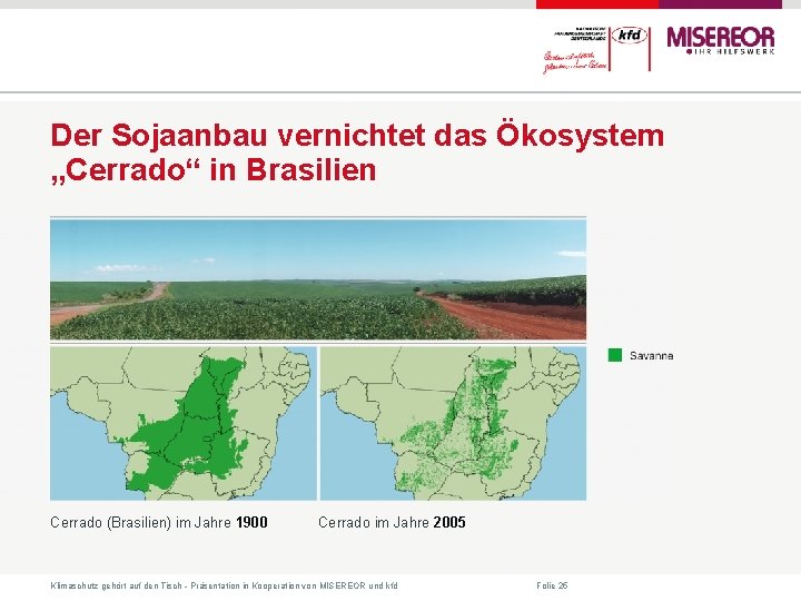 Der Sojaanbau vernichtet das Ökosystem „Cerrado“ in Brasilien Cerrado (Brasilien) im Jahre 1900 Cerrado