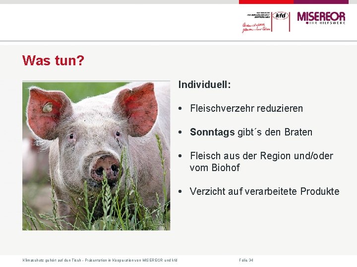 Was tun? Individuell: • Fleischverzehr reduzieren • Sonntags gibt´s den Braten • Fleisch aus