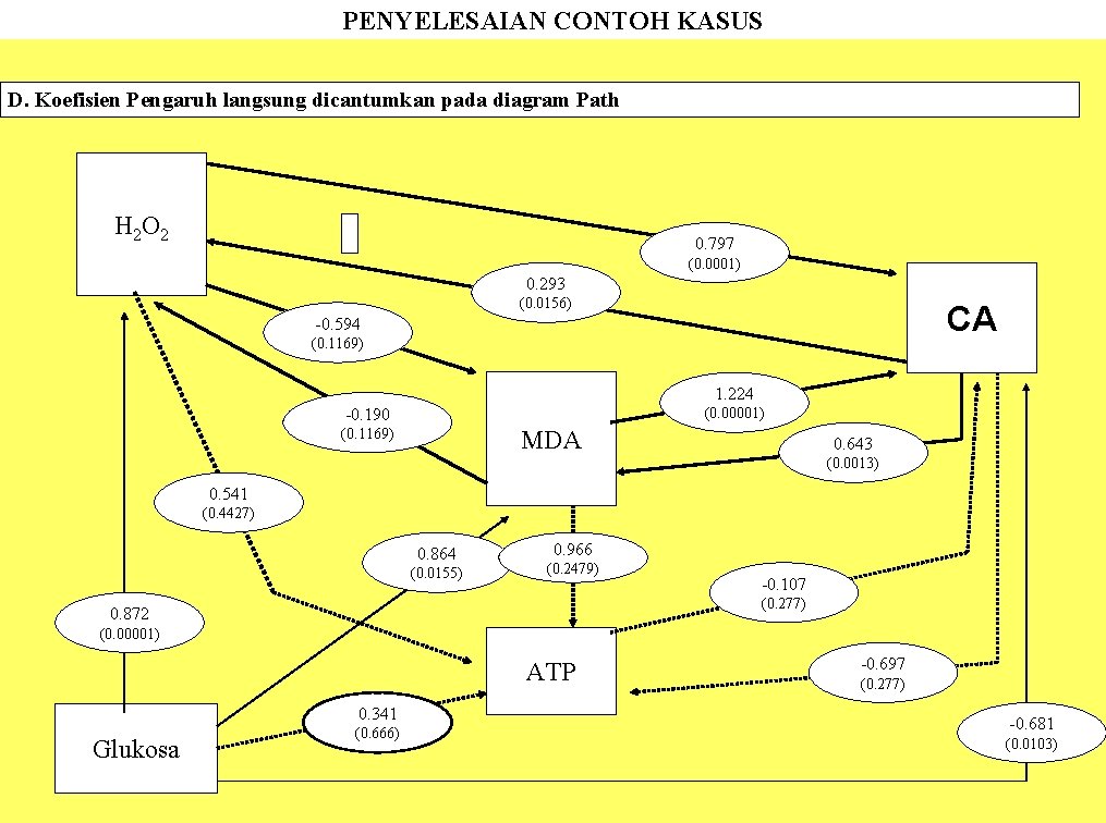 PENYELESAIAN CONTOH KASUS D. Koefisien Pengaruh langsung dicantumkan pada diagram Path H 2 O