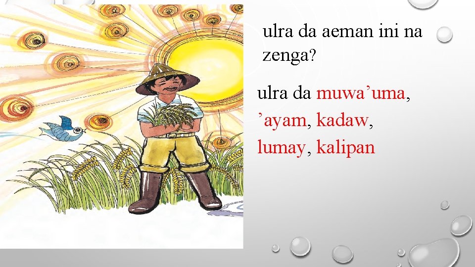 ulra da aeman ini na zenga? ulra da muwa’uma, ’ayam, kadaw, lumay, kalipan 