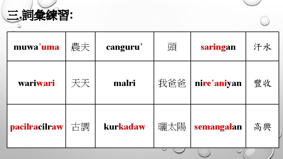 三. 詞彙練習: muwa’uma 農夫 canguru’ wari 天天 malri 我爸爸 nire’aniyan 豐收 kurkadaw 曬太陽 semangalan