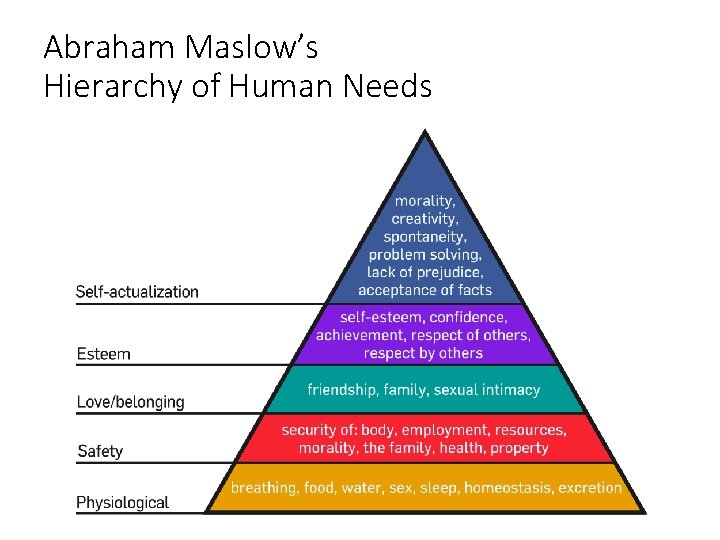 Abraham Maslow’s Hierarchy of Human Needs 