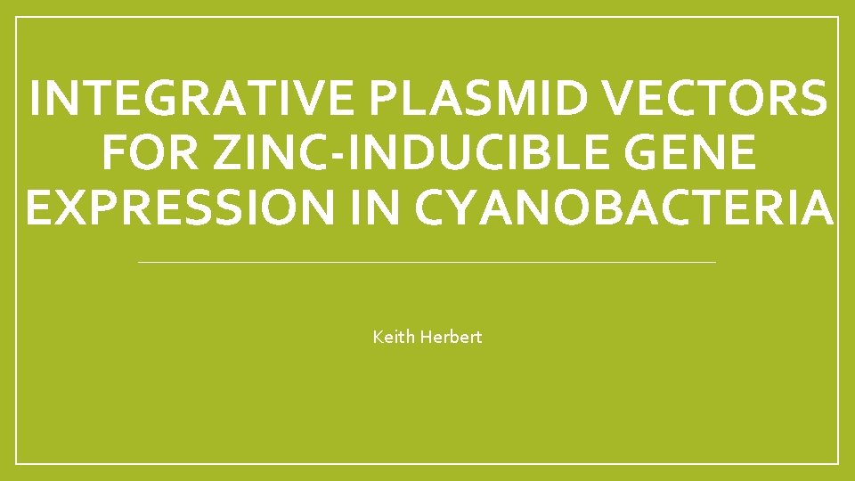 INTEGRATIVE PLASMID VECTORS FOR ZINC-INDUCIBLE GENE EXPRESSION IN CYANOBACTERIA Keith Herbert 