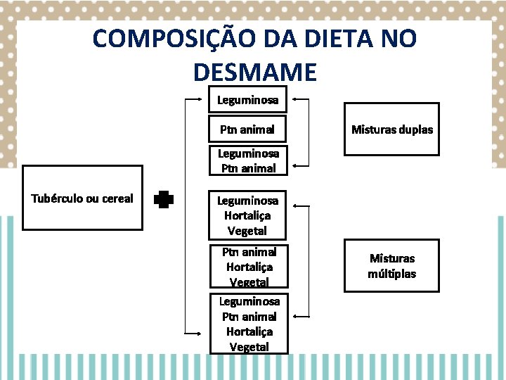 COMPOSIÇÃO DA DIETA NO DESMAME Leguminosa Ptn animal Misturas duplas Leguminosa Ptn animal Tubérculo COMPOSIÇÃO DA DIETA NO DESMAME Leguminosa Ptn animal Misturas duplas Leguminosa Ptn animal Tubérculo