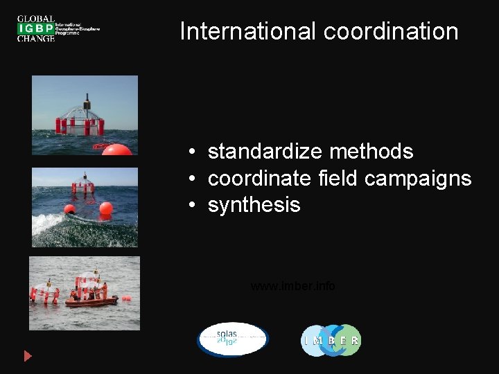 International coordination • standardize methods • coordinate field campaigns • synthesis www. imber. info