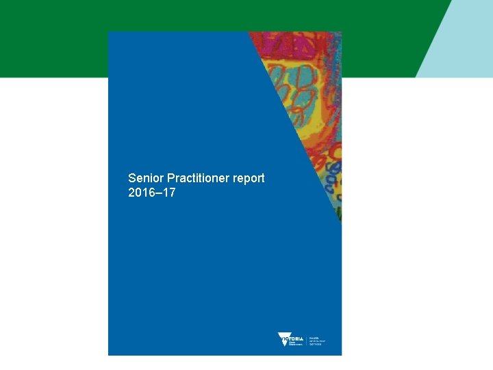 Senior Practitioner report 2016– 17 