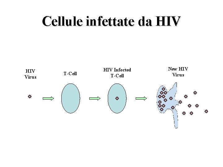 Cellule infettate da HIV Virus T-Cell HIV Infected T-Cell New HIV Virus 