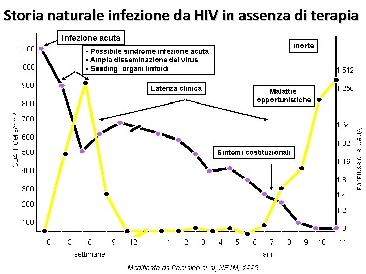 Storia naturale infezione da HIV in assenza di terapia Infezione acuta 1100 morte •