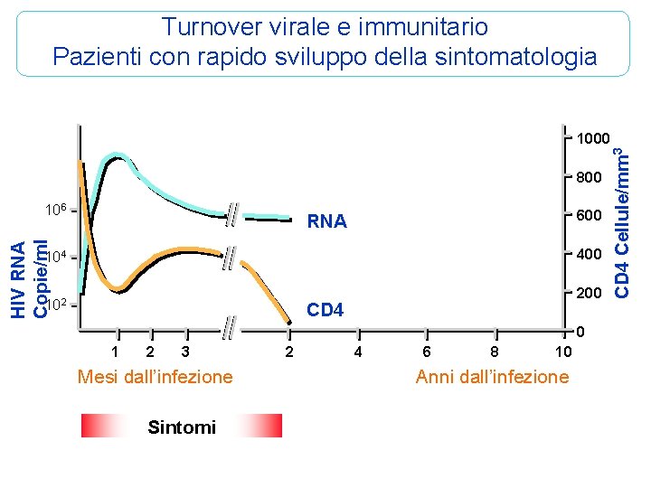 Turnover virale e immunitario Pazienti con rapido sviluppo della sintomatologia 800 106 600 HIV