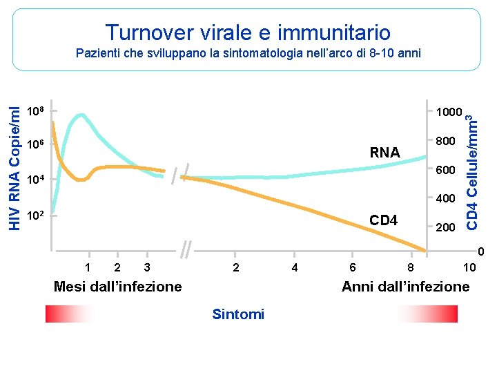 Turnover virale e immunitario 108 1000 106 800 RNA 600 104 400 102 CD