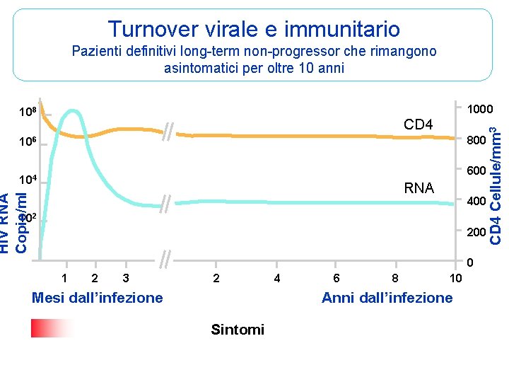 Turnover virale e immunitario Pazienti definitivi long-term non-progressor che rimangono asintomatici per oltre 10