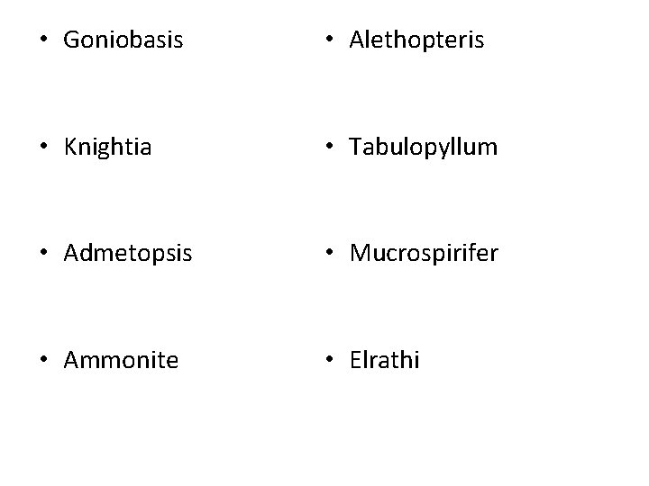  • Goniobasis • Alethopteris • Knightia • Tabulopyllum • Admetopsis • Mucrospirifer •