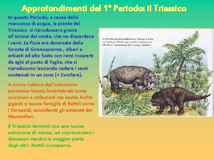 Approfondimenti del 1° Periodo: il Triassico In questo Periodo, a causa della mancanza di