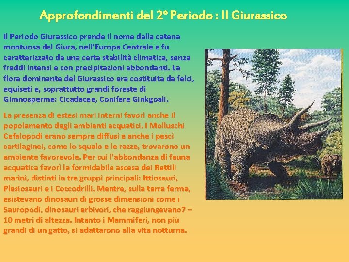 Approfondimenti del 2° Periodo : Il Giurassico Il Periodo Giurassico prende il nome dalla