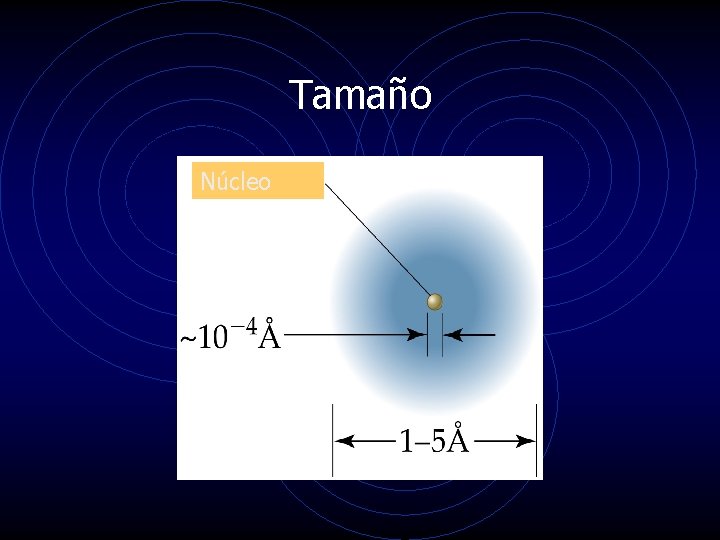 Tamaño Núcleo 