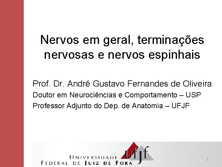 Nervos em geral, terminações nervosas e nervos espinhais Prof. Dr. André Gustavo Fernandes de Nervos em geral, terminações nervosas e nervos espinhais Prof. Dr. André Gustavo Fernandes de