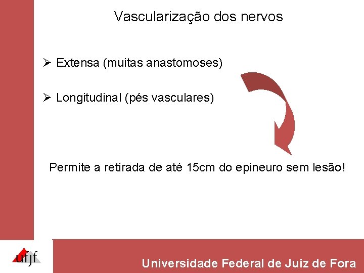 Vascularização dos nervos Ø Extensa (muitas anastomoses) Ø Longitudinal (pés vasculares) Permite a retirada Vascularização dos nervos Ø Extensa (muitas anastomoses) Ø Longitudinal (pés vasculares) Permite a retirada
