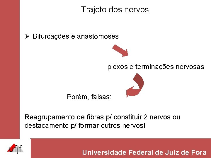 Trajeto dos nervos Ø Bifurcações e anastomoses plexos e terminações nervosas Porém, falsas: Reagrupamento Trajeto dos nervos Ø Bifurcações e anastomoses plexos e terminações nervosas Porém, falsas: Reagrupamento