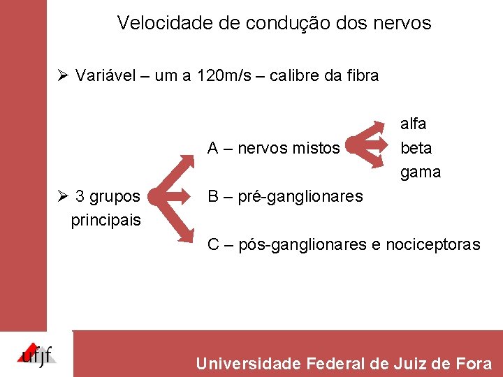 Velocidade de condução dos nervos Ø Variável – um a 120 m/s – calibre Velocidade de condução dos nervos Ø Variável – um a 120 m/s – calibre