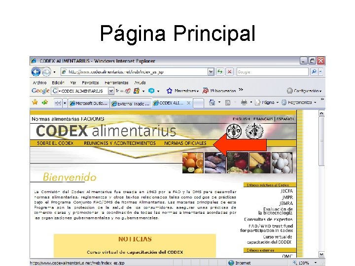 Página Principal Página Principal