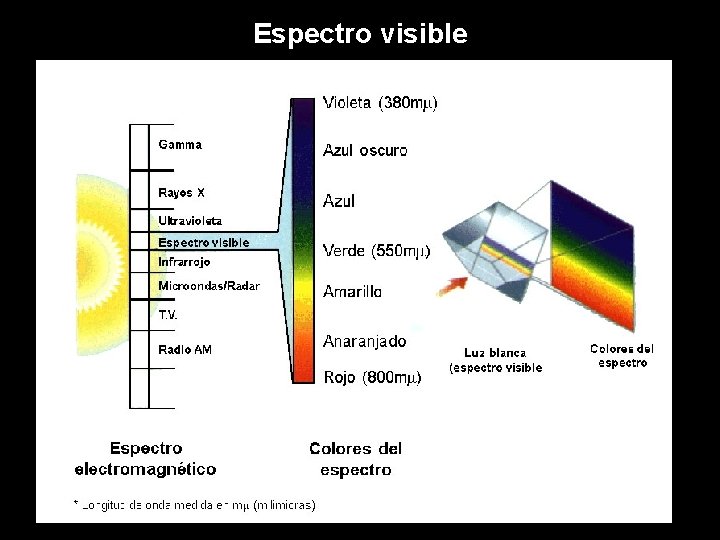Espectro visible 