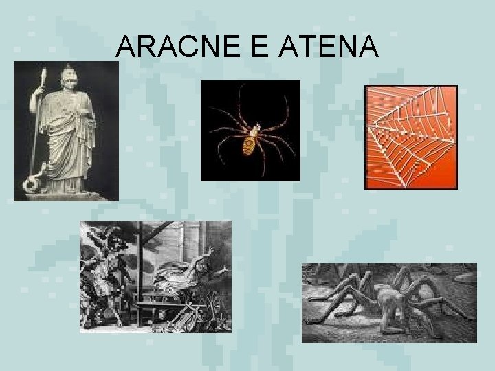 ARACNE E ATENA 