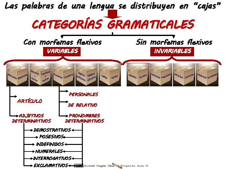 Las palabras de una lengua se distribuyen en “cajas” CATEGORÍAS GRAMATICALES Con morfemas flexivos