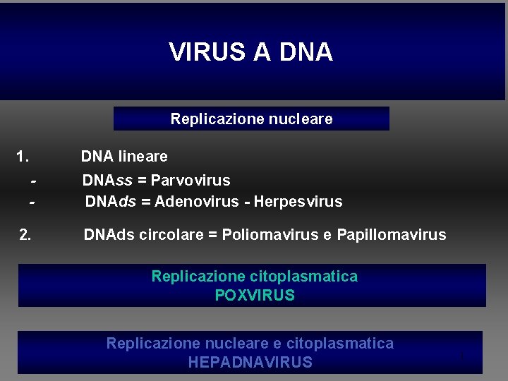 VIRUS A DNA Replicazione nucleare 1. 2. DNA lineare DNAss = Parvovirus DNAds =